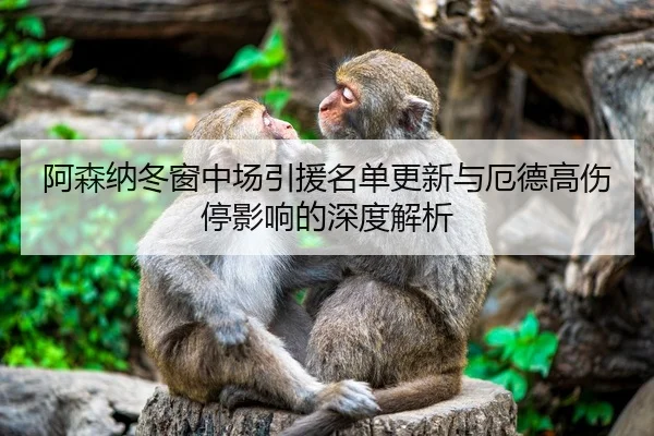 阿森纳冬窗中场引援名单更新与厄德高伤停影响的深度解析